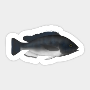 Karonga Tilapia Sticker